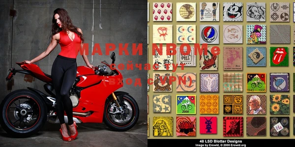 прущие грибы Баксан