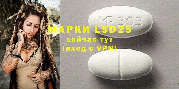 прущие грибы Баксан
