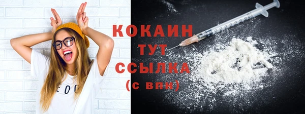 прущие грибы Баксан