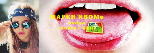прущие грибы Баксан